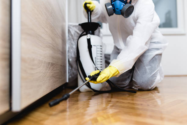 Best Pest Control Near Me  in Charlotte Hall, MD