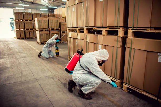Best Affordable Pest Control Services  in Charlotte Hall, MD