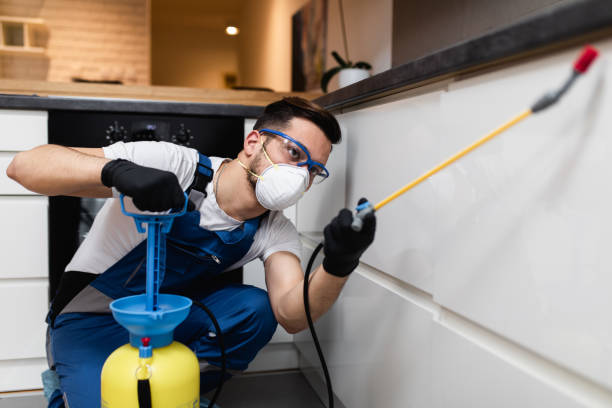 Best Flea Control Services  in Charlotte Hall, MD
