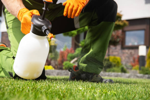 Best Affordable Pest Control Services  in Charlotte Hall, MD