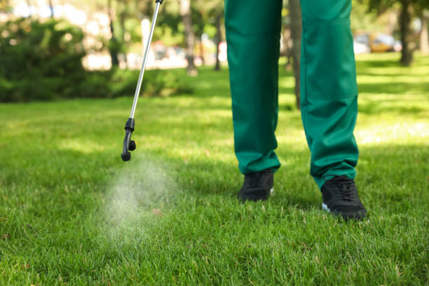 Best Cockroach Control Services  in Charlotte Hall, MD