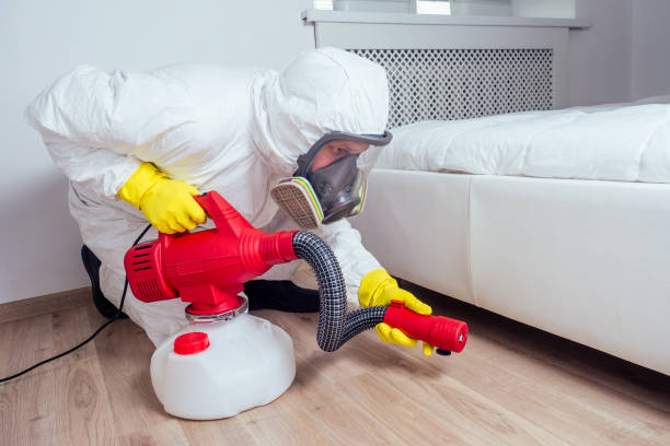 Best Pest Inspection Near Me  in Charlotte Hall, MD