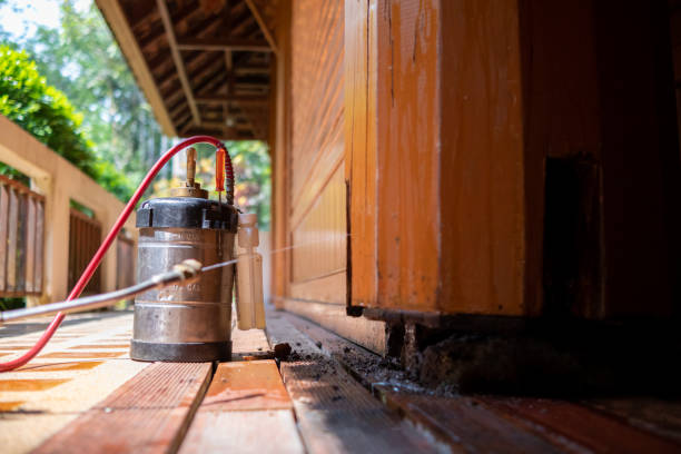 Best Ant Control Services  in Charlotte Hall, MD