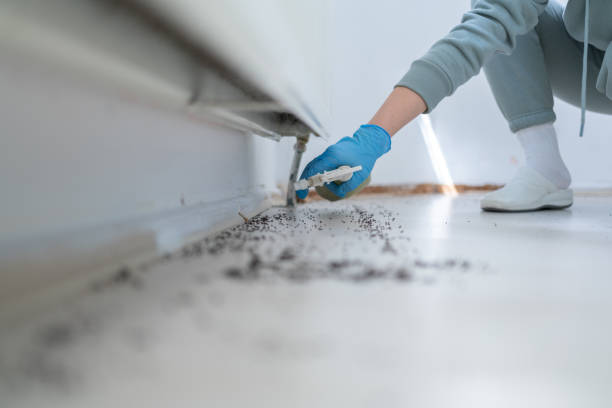 Best Pest Prevention Services  in Charlotte Hall, MD