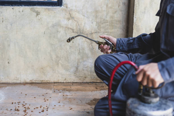 Best Pest Control for Homes  in Charlotte Hall, MD
